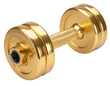 © Prodip - A single golden dumbbell shown from the front, metallic shine and smooth reflections  708915