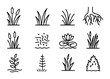 © Ivanja - Riverbank Vegetation Icons. Outline icon set of riverbank vegetation: reeds, grasses, willow roots, cattails,