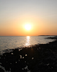  Paisagem da ilha Dugi Otok, Croácia, com praias, mar e vegetação