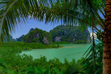 Tropical bay with limestone cliffs and green water under a bright blue sky, lush vegetation in the foreground.
