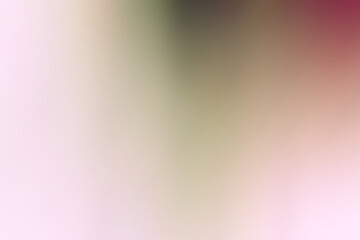 Wall Mural - pink blurred gradient background / spring background light colors, overlapping transparent, unusual spring design