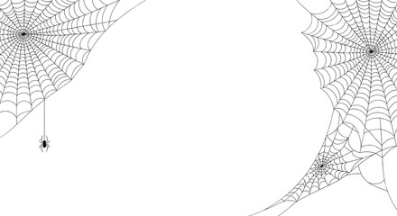 Eerie white spiderwebs with a single hanging spider create a spooky Halloween or horror theme background for your designs.