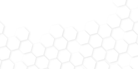 Wall Mural - Abstract background with hexagon, modern abstract vector polygonal pattern. Futuristic honeycomb mosaic white background,white and gray hexagon honeycomb geometric copy space.