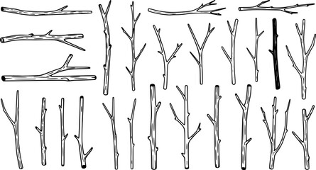 Wall Mural - set of wooden twigs icon vector. branch icon
