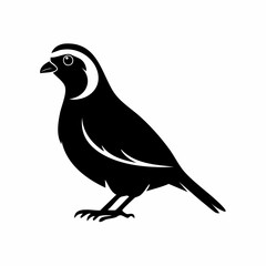 quail bird black silhouette vector, Simple silhouette Design vector icon with white background. Wild bird