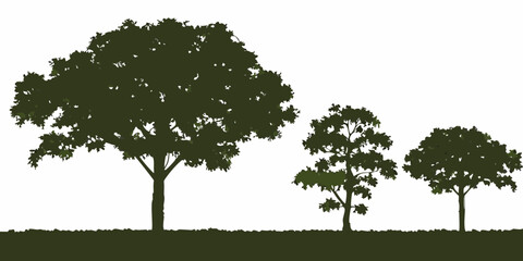 Silhouette of three different sized trees on a white background