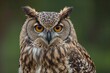 © The 2R Artificiality - A species of owl commonly seen across the Eurasian region is the Eurasian eagle owl.