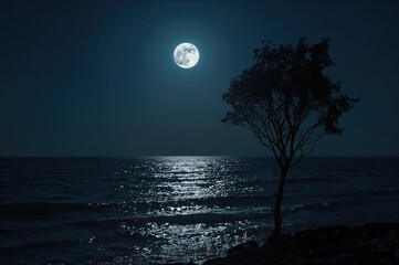 Wall Mural - radiant full moon glowing above the sea