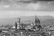Florence, Italy - landmark of Italy. Black and white photo vintage style.