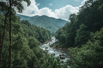 Wall Mural - rainy season scenery in a lush mountain pass with vibrant greenery and flowing water