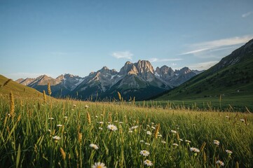 Wall Mural - Field Among the Hills