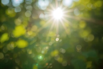 Wall Mural - Sunbeams shining through a softly blurred natural scene