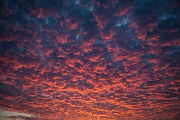 Wall Mural - stunning vibrant dusk featuring a textured cloudy atmosphere. captivating scenic view of dramatic su
