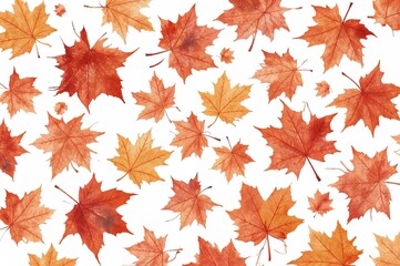 Wall Mural - Maple leaves painted in watercolor on a blank backdrop