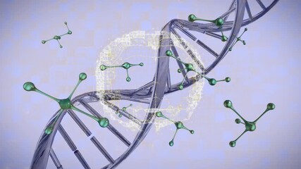 Wall Mural - animation of dna strand and human brain