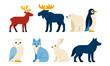 © 123levit - Cute animal collection: arctic and forest creatures in minimalist design