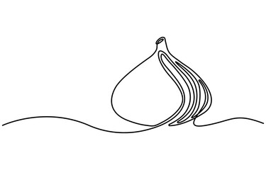 Abstract fig fruit with leaves, Continuous one line drawing isolated on white background, Continuous one single minimal line drawing Figs fruit, Single one line drawing whole healthy organic figs pro.