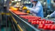 © nikomsolftwaer - Optimizing production lines in a food factory closeup insights on manufacturing processes industrial environment detailed view of operations