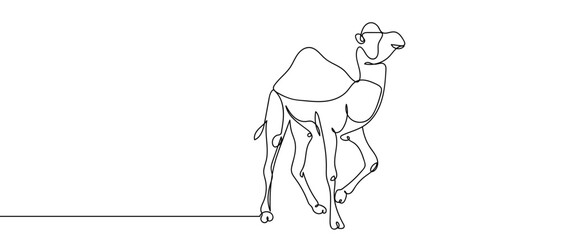Wall Mural - Continuous line of desert camel. Single line art hand drawn vector. Editable stroke.