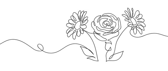 Wall Mural - Continuous line of three flowers. Hand drawn vector art line. Editable stroke.