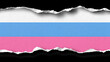 © Nat - A flag with pink, blue and white stripes is ripped