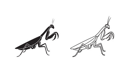 Praying mantis outline with transparent background