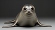 © Fajar - Cute Seal Pup Portrait, Wildlife Animal Photography, Marine Mammal Image, Ocean Creature, Baby Seal Close Up