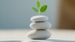 © anis-aswanee - Serene Spa Scene with Stacked Stones and a Fresh Green Leaf