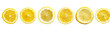 © Items - Lemon slices, a row of eight