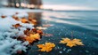 © Sepatu - Autumn leaves on snowy shore