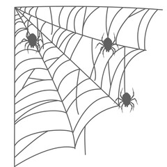 Spider Web Silhouette