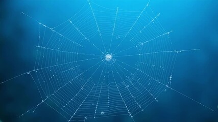 Intricate detailed spider web with vibrant blue backdrop perfect for spooky Halloween vertical video footage captured in stunning 4k quality