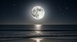 © Harfia - Full Bright Moon Reflecting on Calm Ocean Water at Night with Starry Sky