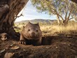 © 우진 왕 - Un wombat emerge a la luz del día.