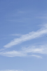 Wall Mural - the sky is covered with feathery clouds.