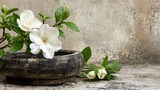 Elegant White Flowers in Rustic Stone Vase