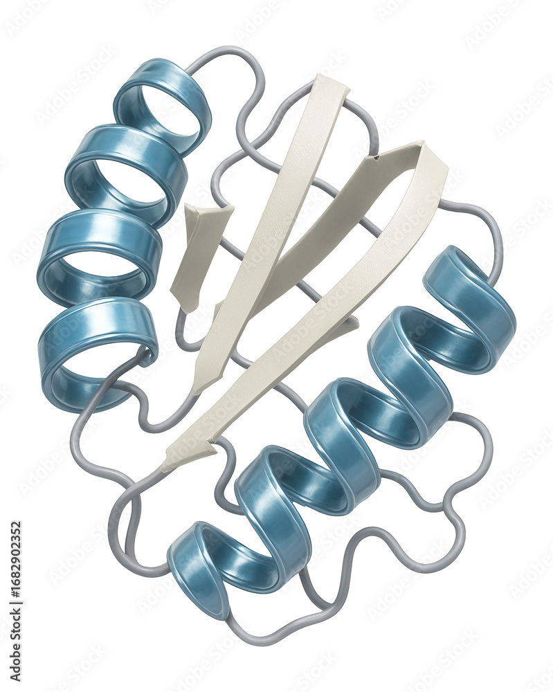 Protein structure model with alpha helices and beta sheets in a 3D form ...