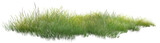 grass isolated on white background/Isolated grass meadow foliage plants in green nature PNG, fresh vegetation lawn pasture for summer growth.