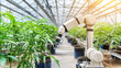 © ArpPSIqee - Robotic Arm Analyzing Plants in a Greenhouse