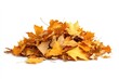 © Rawpixel.com - Fall leaves leaf background isolated.