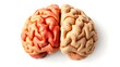 © king - Illustration of a human brain divided into hemispheres, representing emotion and logic with warm colors.