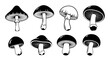 © Diclonius - A collection of intricately illustrated mushroom illustrations, each showcasing unique shapes and details, perfect for a touch of nature's elegance. vector illustration