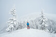 © Oleksandr Kotenko - Man Snowshoeing Near Snowy Spruce Forest In Winter Mountains