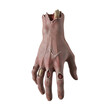 © PNG Lab - Severed zombie hand with exposed bones and flesh