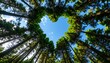 © Abdul - Lush forest canopy forming a heart shape
