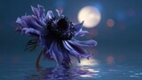 A delicate purple anemone flower rests on water, reflecting the moonlight