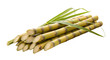 © PurArts Studio - Bundle of fresh sugarcane stalks with green leaves isolated on transparent background