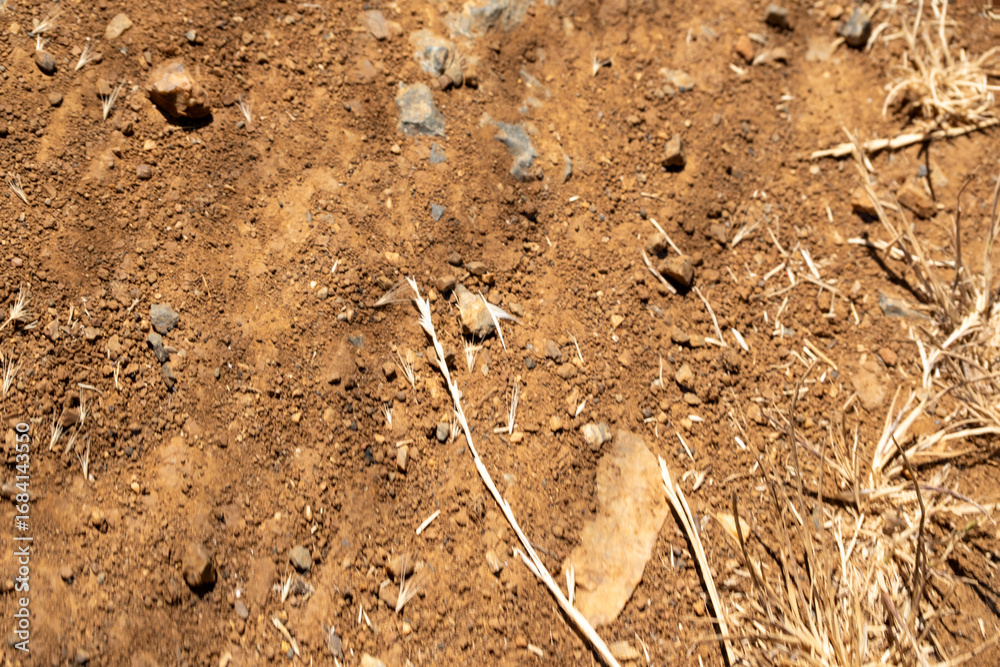 Close-up texture of dry, reddish-brown earth mixed with small stones and dried grass. Focus on the rough, arid surface and earthy tones. Ideal for a natural ground background or overlay.