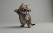 © joeycheung - A fluffy gray tabby cat sits attentively with a curious and gentle expression.