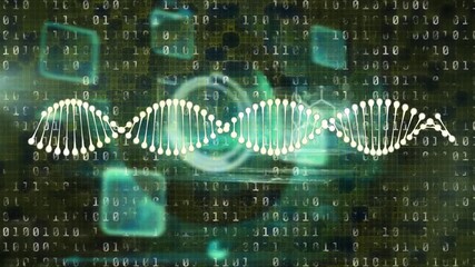 Wall Mural - animation of binary coding data processing over dna strands spinning